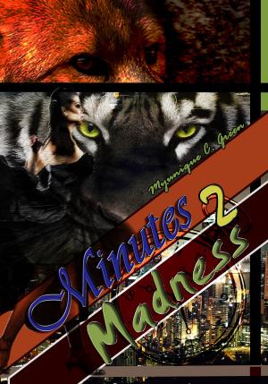 Cover of the book Minutes 2 Madness by Rachel Wilson