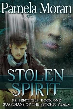 Cover of Stolen Spirit (PSI Sentinels: Book One, Guardians of the Psychic Realm)