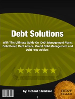 Cover of Debt Solutions