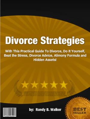 Cover of the book Divorce Strategies by Delicia T. Gowans