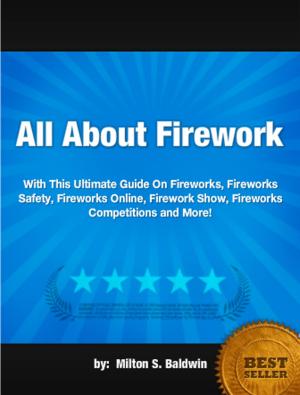 Cover of the book All About Firework by Amy D. Hoover