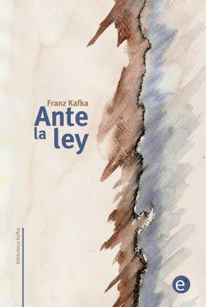 Cover of the book Ante la ley by Franz Kafka