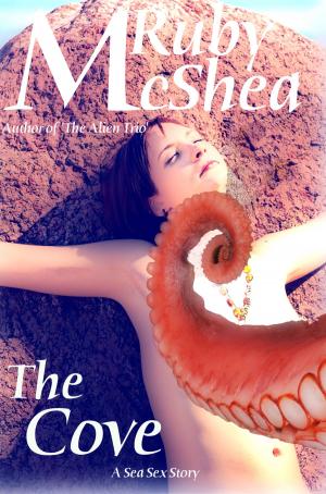 Cover of the book The Cove by Heather Webber