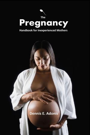 Cover of the book The Pregnancy Handbook for Inexperienced Mothers by Jennifer Lawrence