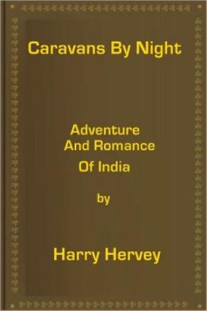 bigCover of the book Caravans by Night by 