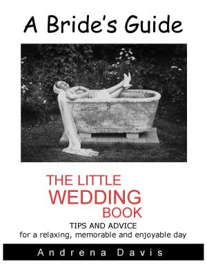 Cover of the book A Bride's Guide by Irina Avtsin