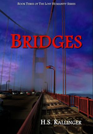 Cover of the book Bridges by R.L. Nielsen