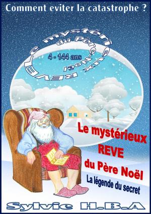 Book cover of Le mystérieux rêve du père Noël