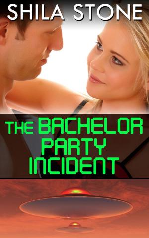 Book cover of The Bachelor Party Incident