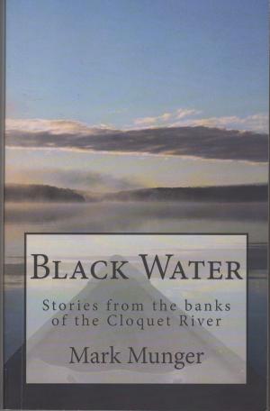 Cover of the book Black Water by Shela Dingo