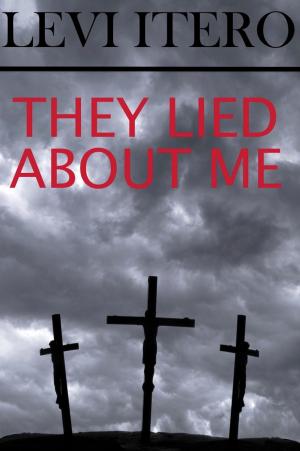 Cover of the book They Lied About Me by R. K. Bingham