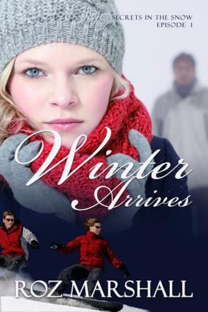 Cover of the book Winter Arrives by Belle McInnes