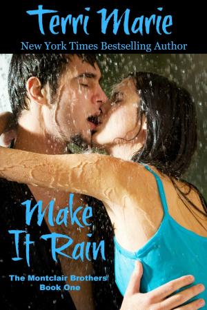 Cover of the book Make it Rain by Rachel Anne Lane