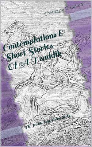 Cover of Contemplations & Short Stories Of A Tzaddik