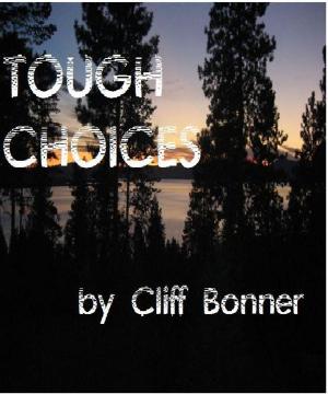 Cover of the book TOUGH CHOICES by Sebastiano B. Brocchi