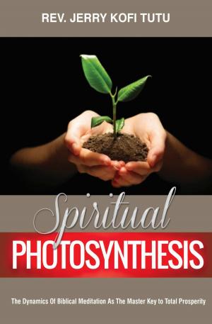 bigCover of the book SPIRITUAL PHOTOSYNTHESIS by 