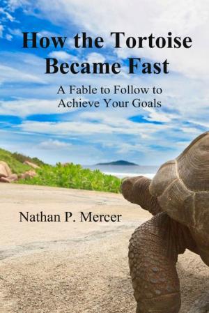 Cover of the book How the Tortoise Became Fast by Erik Kristofer Lucero