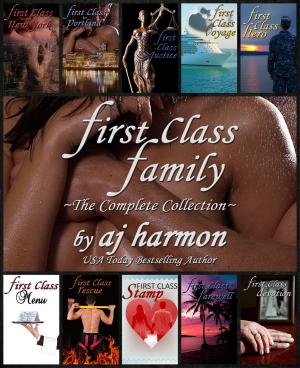 bigCover of the book First Class Family by 