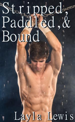 Cover of the book Stripped, Paddled, and Bound by Layla Lewis
