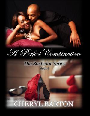 Cover of the book A Perfect Combination by A.A. Garrison