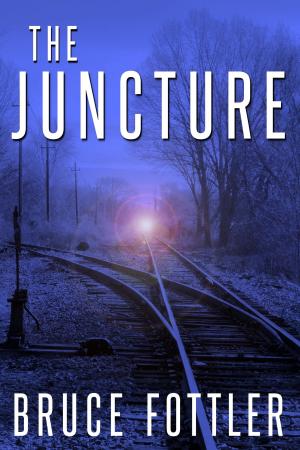 Cover of the book The Juncture by Katie O'Connor