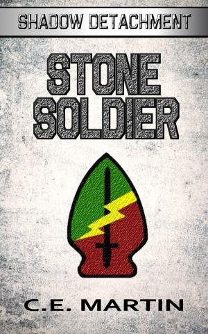 Cover of the book Stone Soldier by A.E. Hodge