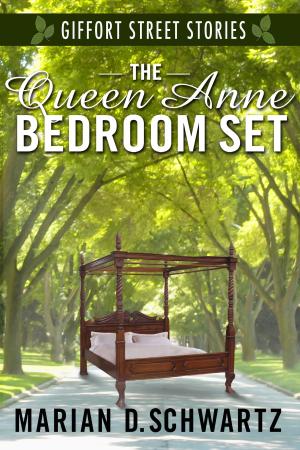 bigCover of the book The Queen Anne Bedroom Set by 