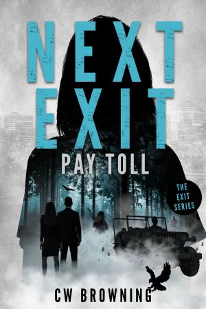 Cover of the book Next Exit, Pay Toll by Jan Tailor