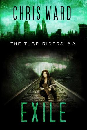 Cover of the book Exile by Olivier Soubitez