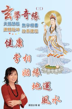 bigCover of the book 玄學奇緣（三） by 