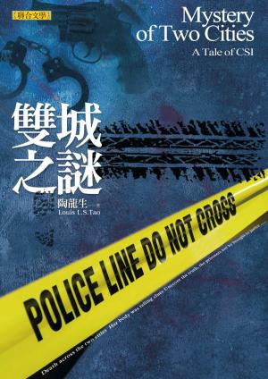 Cover of the book 雙城之謎 by Michael Stewart