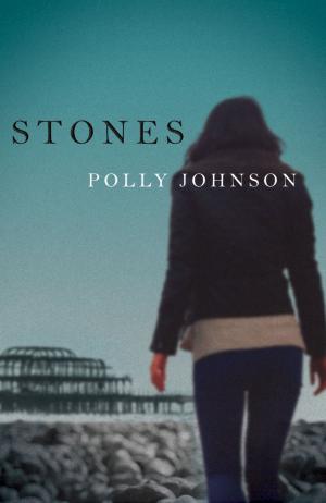 Cover of the book Stones by Andrew Taylor