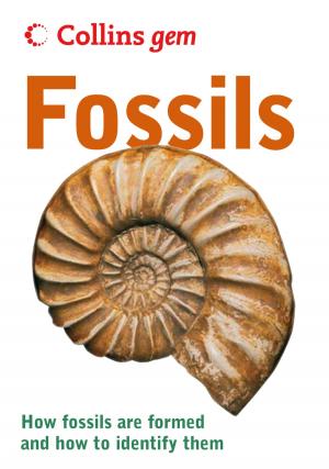 Cover of the book Fossils (Collins Gem) by Rosemary Smith