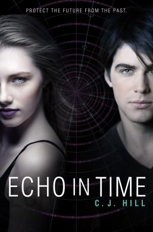 Cover of the book Echo in Time by Courtney Allison Moulton