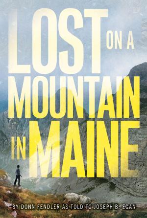 Cover of the book Lost on a Mountain in Maine by Josip Radović, Lukas Rieger