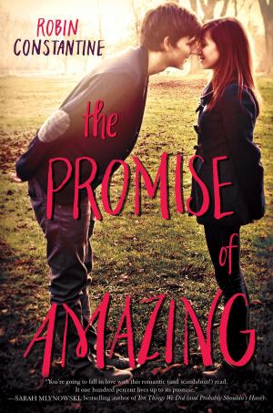 Book cover of The Promise of Amazing