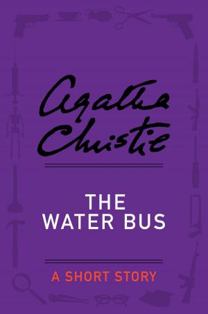 Cover of the book The Water Bus by Stephen Booth