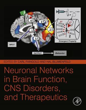 Cover of the book Neuronal Networks in Brain Function, CNS Disorders, and Therapeutics by Jeffrey Brooks