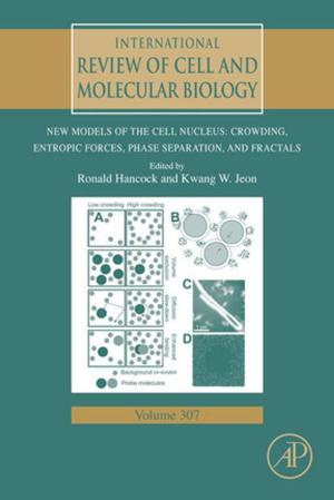 Cover of the book New Models of the Cell Nucleus: Crowding, Entropic Forces, Phase Separation, and Fractals by David Zeigler