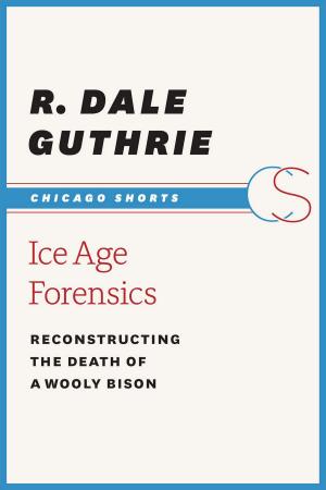 Cover of the book Ice Age Forensics by Marcus Boon, Eric Cazdyn, Timothy Morton