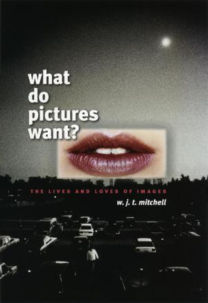 Cover of the book What Do Pictures Want? by A. Waldmann