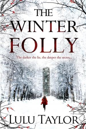 Cover of the book The Winter Folly by Julia Donaldson