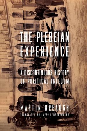 Cover of the book The Plebeian Experience by Victoria Rosner