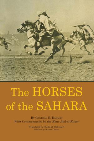 Cover of the book The Horses of the Sahara by Sarah Bird