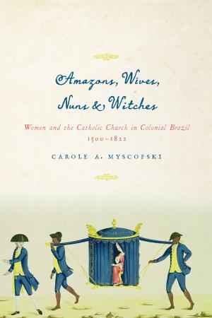 bigCover of the book Amazons, Wives, Nuns, and Witches by 