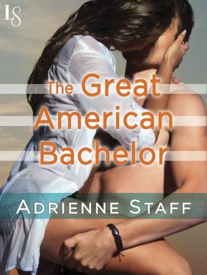 Cover of the book The Great American Bachelor by Tanith Lee
