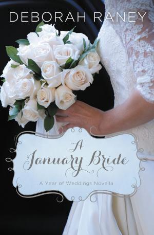 Cover of the book A January Bride by Irene Davidson