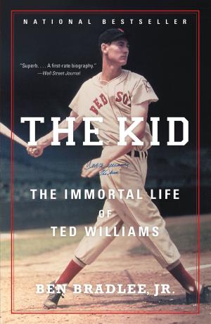 bigCover of the book The Kid by 