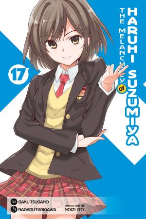 Book cover of The Melancholy of Haruhi Suzumiya, Vol. 17 (Manga)