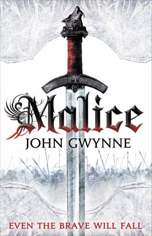 Cover of the book Malice by Gail Z. Martin